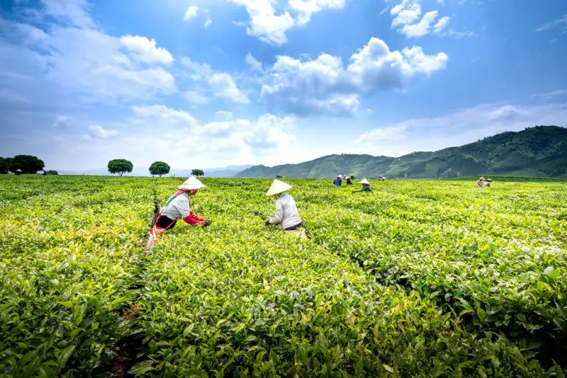 赋能科技企业管理培训课程体系设计与实施要点分析