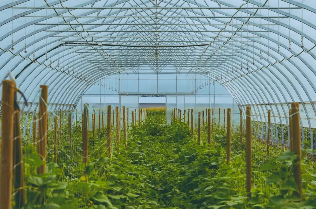 深圳企业员工能力提升培训：赢享利定制化服务案例